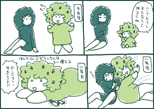 定植マンガ4