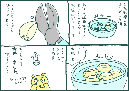 種子マンガ