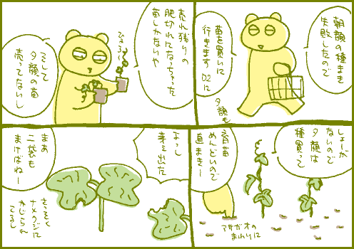 定植マンガ