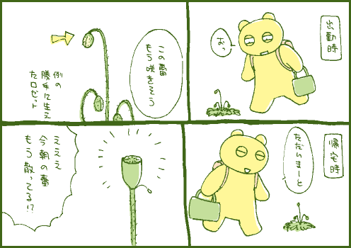 開花マンガ