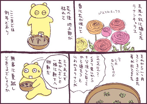 発芽マンガ