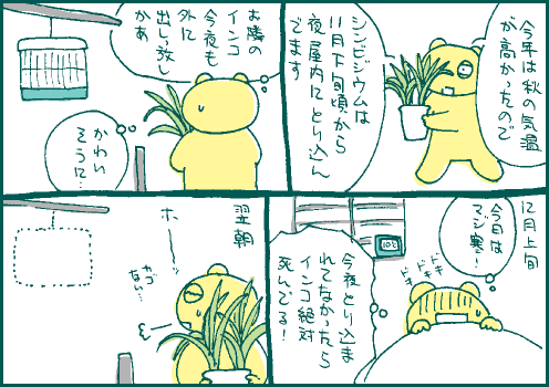 寒波マンガ