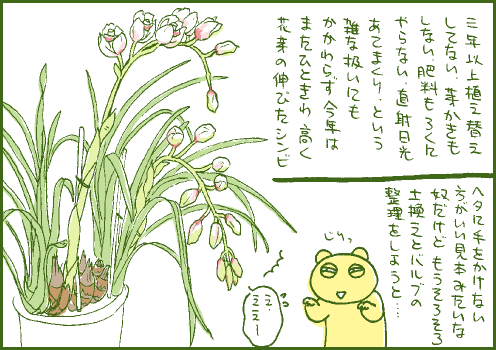 開花マンガ