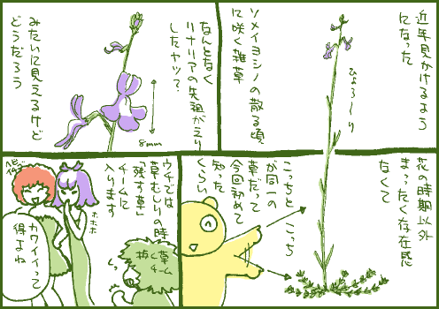 雑草マンガ