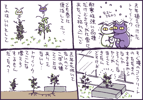 繁殖マンガ