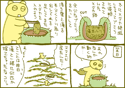 早計マンガ