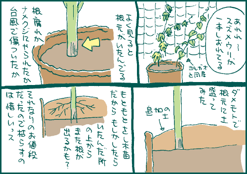 対策マンガ