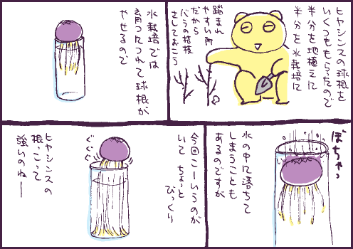 発根マンガ