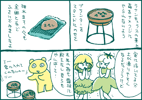 鉢植マンガ