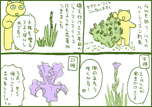 開花マンガ