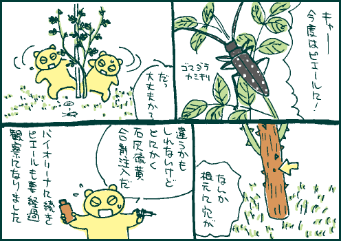 産卵マンガ