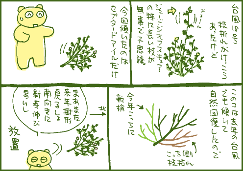 台風マンガ