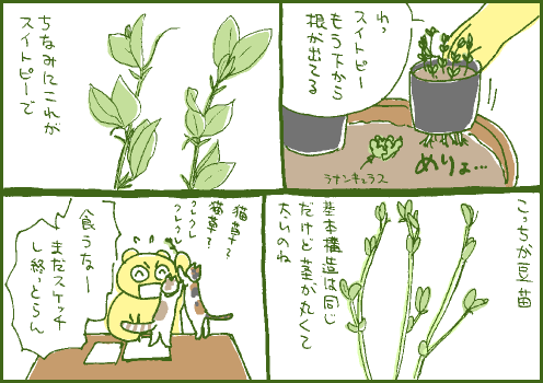 育苗マンガ2