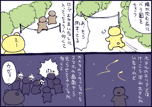 夜間マンガ