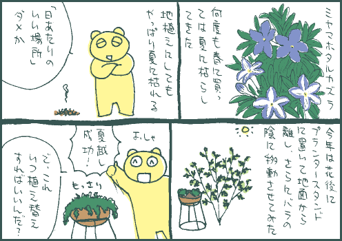 夏越マンガ