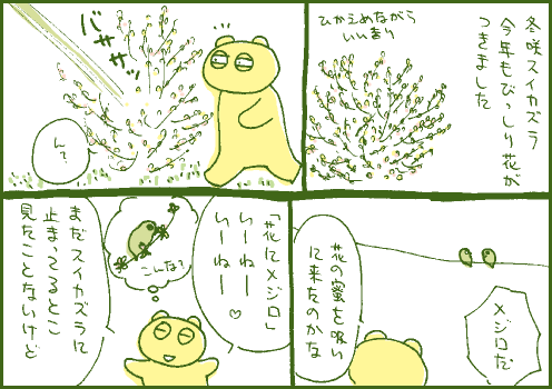 目白マンガ