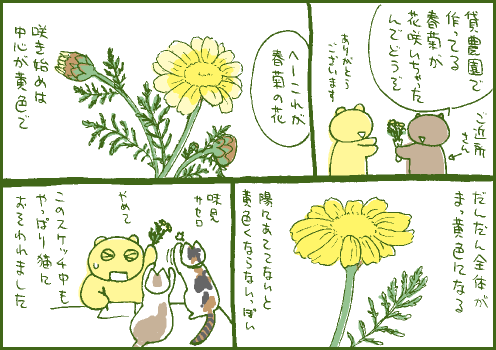 春菊マンガ