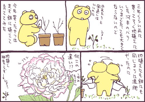 鉢植マンガ