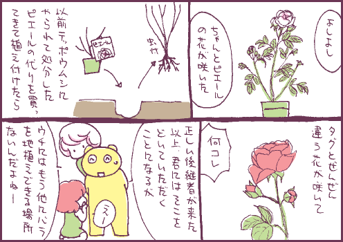 鉢植マンガ