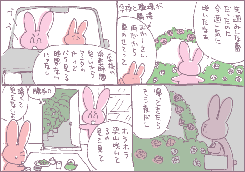 観賞マンガ