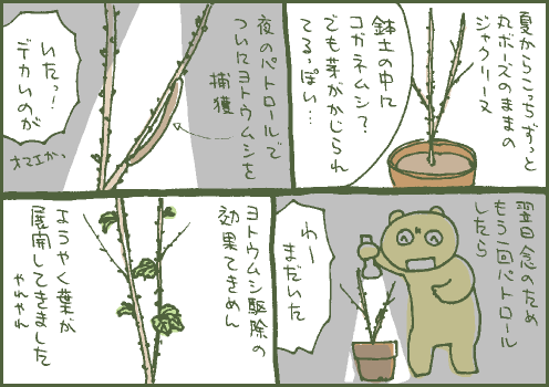 原因マンガ