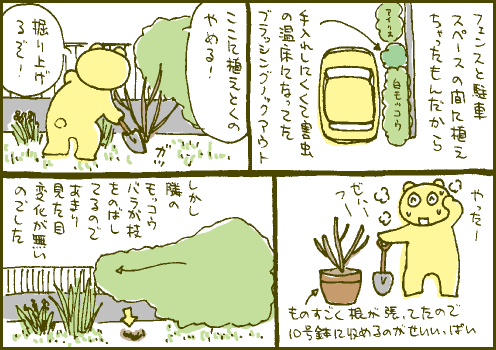 鉢上マンガ