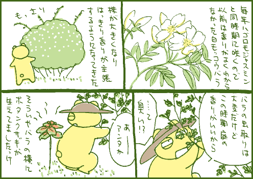 芳香マンガ