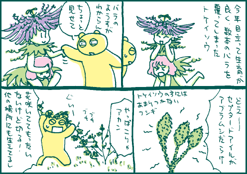 除去マンガ