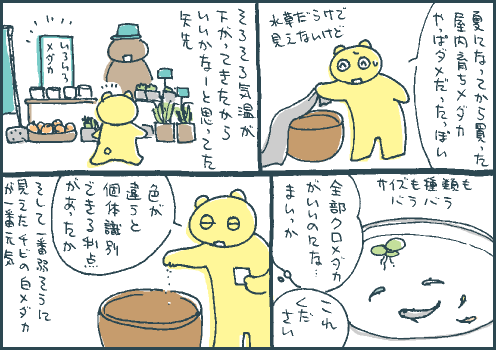 混合マンガ