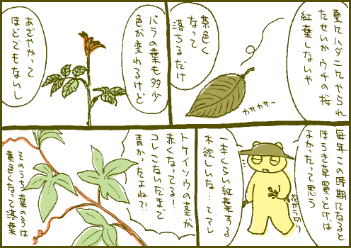 紅葉マンガ