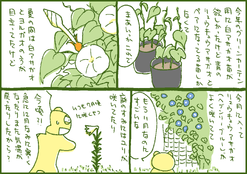 開花マンガ