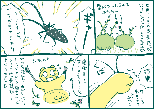 最悪マンガ