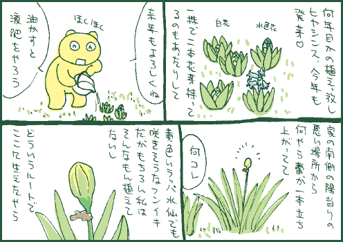 発芽マンガ