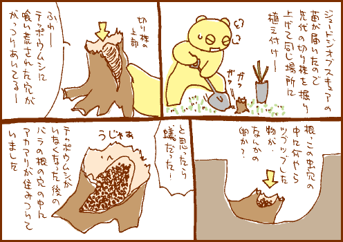 切株マンガ