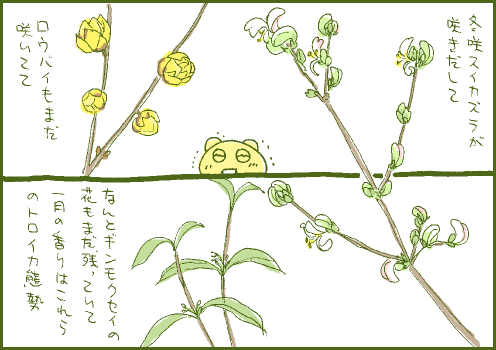 花木マンガ