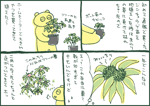 開花マンガ