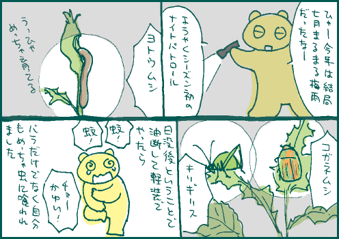 大漁マンガ