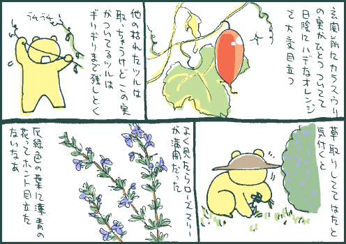 烏瓜マンガ