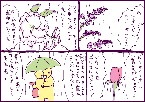 開花マンガ