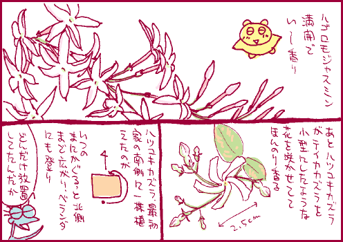 芳香マンガ